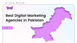 a map of pakistan with "best digital marketing agencies in pakistan" written to its left side